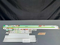 12 tl lampen - afbeelding 1 van  1