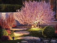 12 x gt focus tuin grond spots zwart - afbeelding 5 van  8