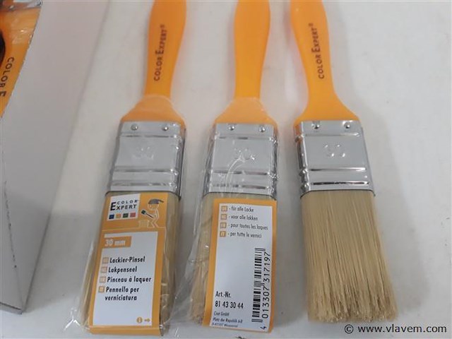 12 x lak verfborstel 30 mm pvc steel - afbeelding 2 van  2