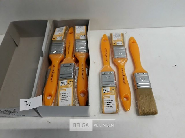 12 x lak verfborstel 30 mm pvc steel - afbeelding 1 van  3