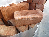 1240 vandersanden cayenne bakstenen - afbeelding 2 van  4