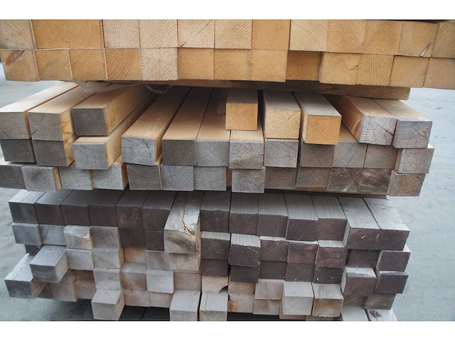 128,70 lm dennen kepers - afbeelding 2 van  4