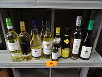 12x diverse witte wijnen - afbeelding 1 van  4