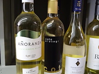 12x diverse witte wijnen - afbeelding 4 van  4