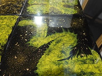 12x houten tafel - afbeelding 2 van  6