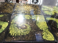 12x houten tafel - afbeelding 3 van  6