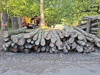 12x stère