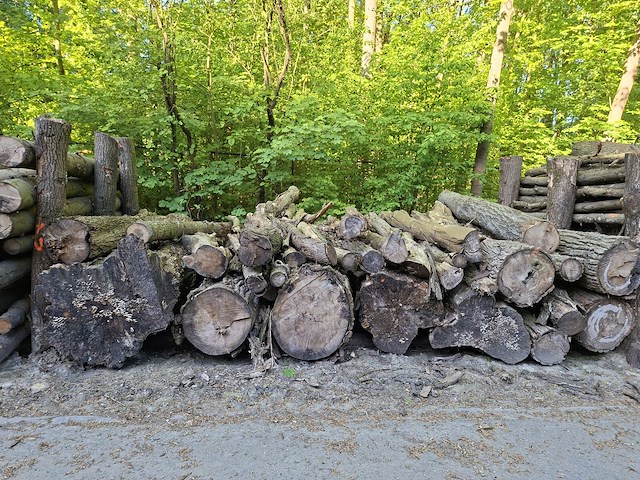 12x stère - afbeelding 1 van  1