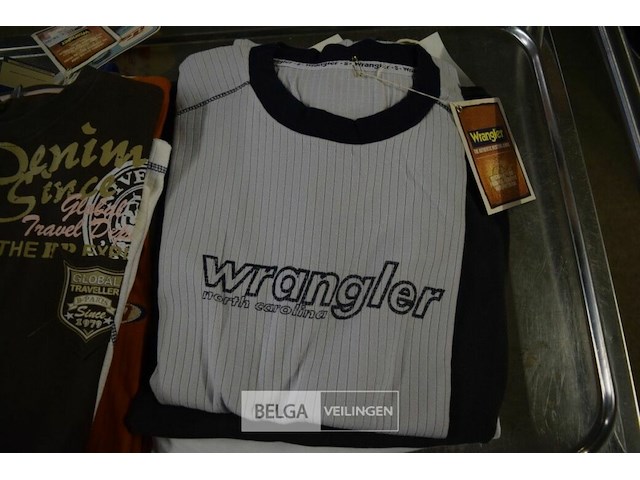 ±13 div soorten t-shirt en polo maat s - afbeelding 4 van  6