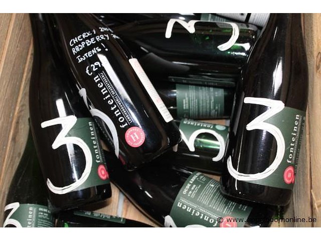 13 diverse flessen geuze 3 fonteinen - afbeelding 2 van  2