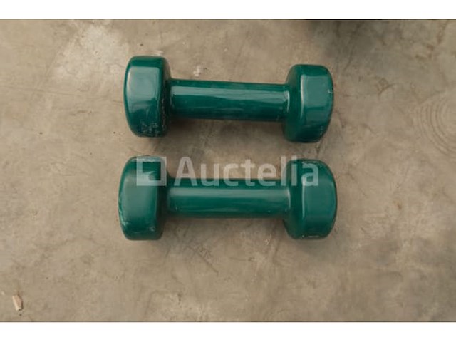13 dumbbells - afbeelding 1 van  12