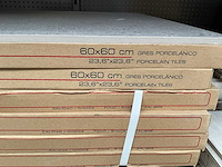 13,65m2 mind grey vloertegel (60x60) - afbeelding 3 van  5