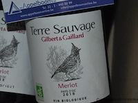 13x fles rode wijn, terre sauvage gilbert & gaillard, merlot 2018, pays d'oc, 750ml - afbeelding 2 van  2