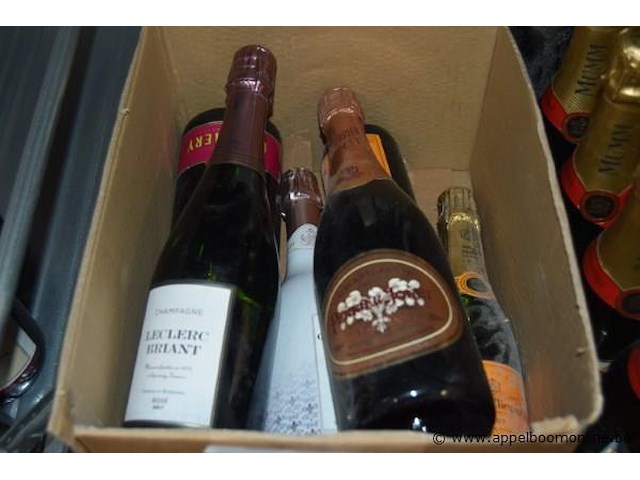 14 diverse flessen champagnes - afbeelding 3 van  4