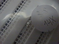 14 diverse roosters - afbeelding 1 van  2