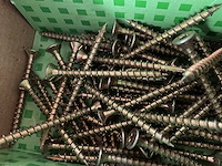 14 dozen hardhoutschroeven - afbeelding 4 van  6