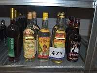 14x fles sterke drank, waaronder rhum agricole (domaine de séverin, saint-etienne, montebello), gosling's black seal rum, bramley & gage sloe gin - afbeelding 1 van  3