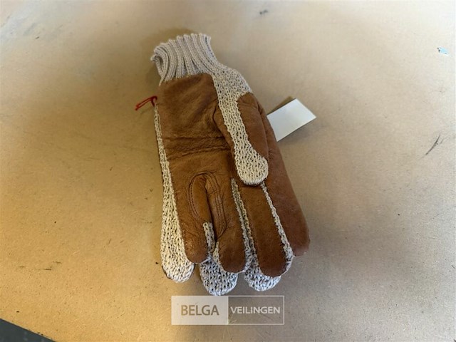 ± 14x handschoenen - afbeelding 3 van  3