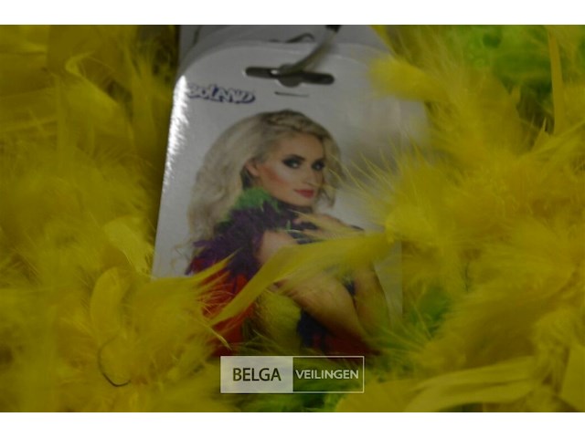 ±15 boa`s - afbeelding 2 van  2