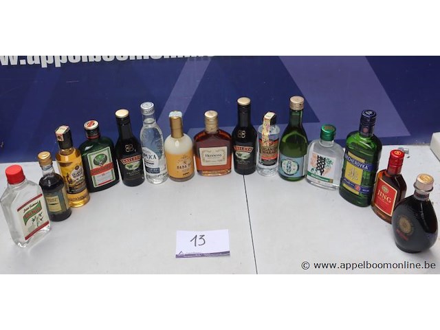 15 flesjes diverse sterke drank - afbeelding 1 van  3