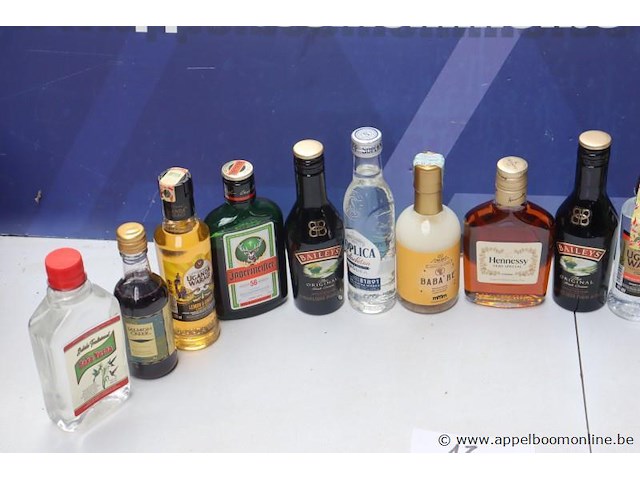 15 flesjes diverse sterke drank - afbeelding 2 van  3