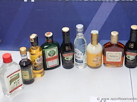 15 flesjes diverse sterke drank - afbeelding 2 van  3