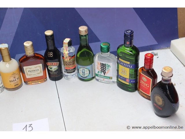 15 flesjes diverse sterke drank - afbeelding 3 van  3