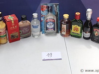 15 flesjes diverse sterke drank - afbeelding 1 van  3