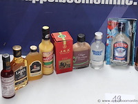 15 flesjes diverse sterke drank - afbeelding 2 van  3