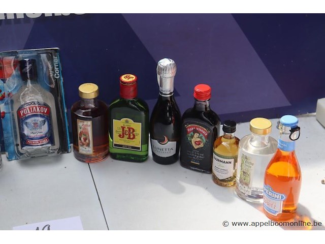 15 flesjes diverse sterke drank - afbeelding 3 van  3