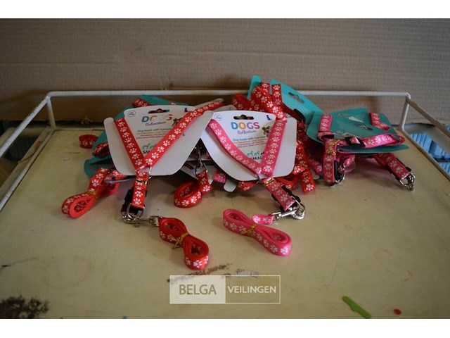 ±15 hondenriem met harnas - afbeelding 1 van  2
