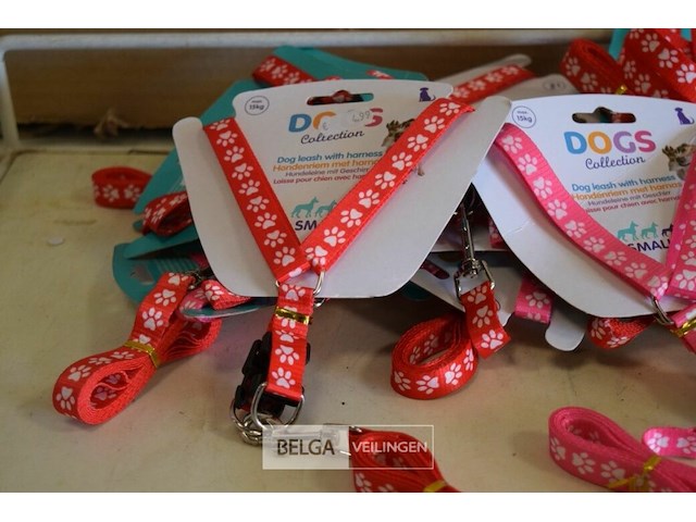 ±15 hondenriem met harnas - afbeelding 2 van  2