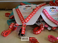 ±15 hondenriem met harnas - afbeelding 2 van  2