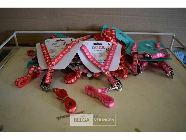 ±15 hondenriem met harnas - afbeelding 1 van  2