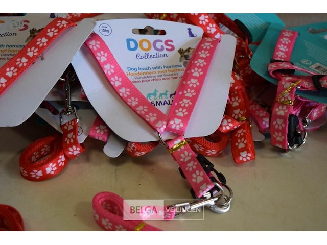±15 hondenriem met harnas - afbeelding 2 van  2