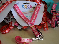 ±15 hondenriem met harnas - afbeelding 2 van  2