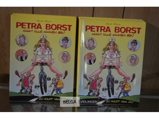 ±15 stripverhalen; petra borst - afbeelding 1 van  2