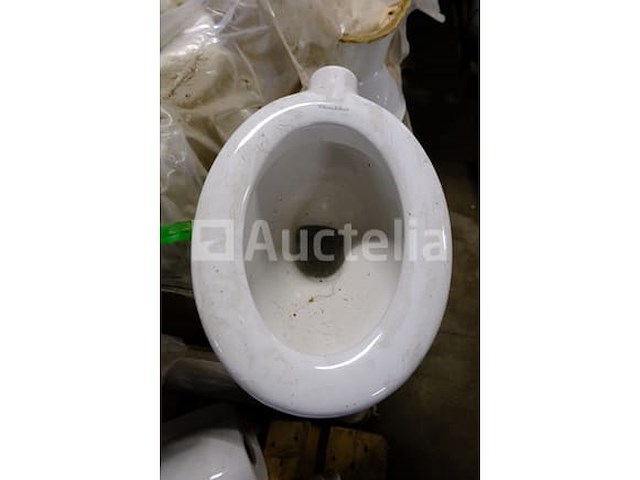15 toiletpotten en urinoirs - afbeelding 13 van  14