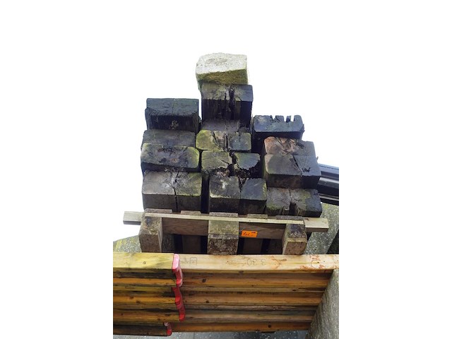 15 treinbilzen - afbeelding 1 van  2