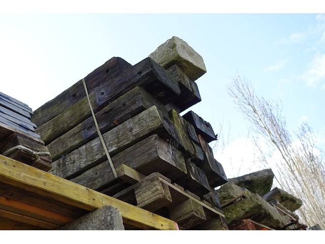 15 treinbilzen - afbeelding 2 van  2