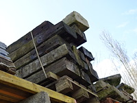 15 treinbilzen - afbeelding 2 van  2