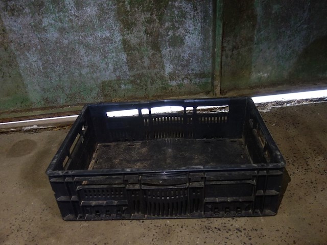 15 zwarte bakken - afbeelding 1 van  1