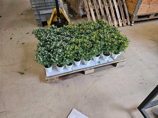 150x huisplant geel en roze met groen in pot artificiëel 27cm h - afbeelding 1 van  5