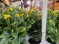 150x huisplant geel en roze met groen in pot artificiëel 27cm h - afbeelding 3 van  5