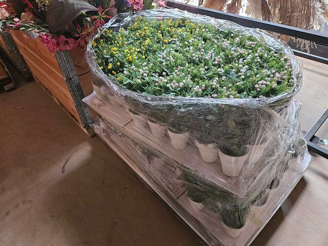 150x huisplant geel en roze met groen in pot artificiëel 27cm h - afbeelding 5 van  5