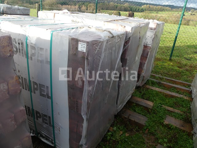 1584 desimpel forum pampas bakstenen - afbeelding 4 van  4