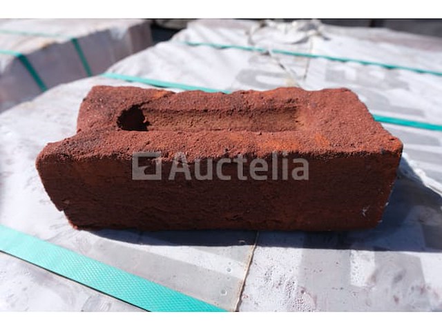 1584 desimpel forum pampas bakstenen - afbeelding 2 van  8