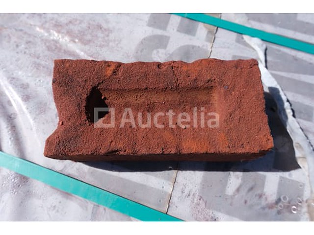 1584 desimpel forum pampas bakstenen - afbeelding 5 van  8