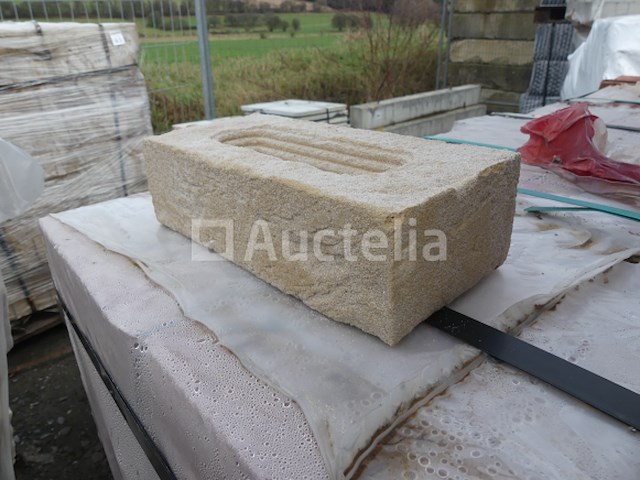 1584 wienerberger patrimonia opus bakstenen - afbeelding 5 van  5