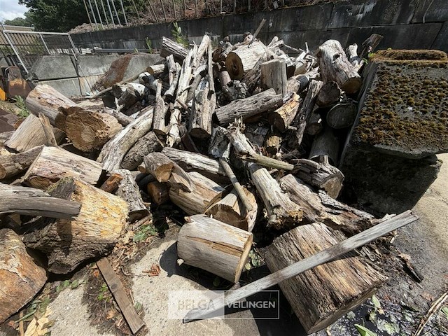 ± 15m³ hout - afbeelding 2 van  6
